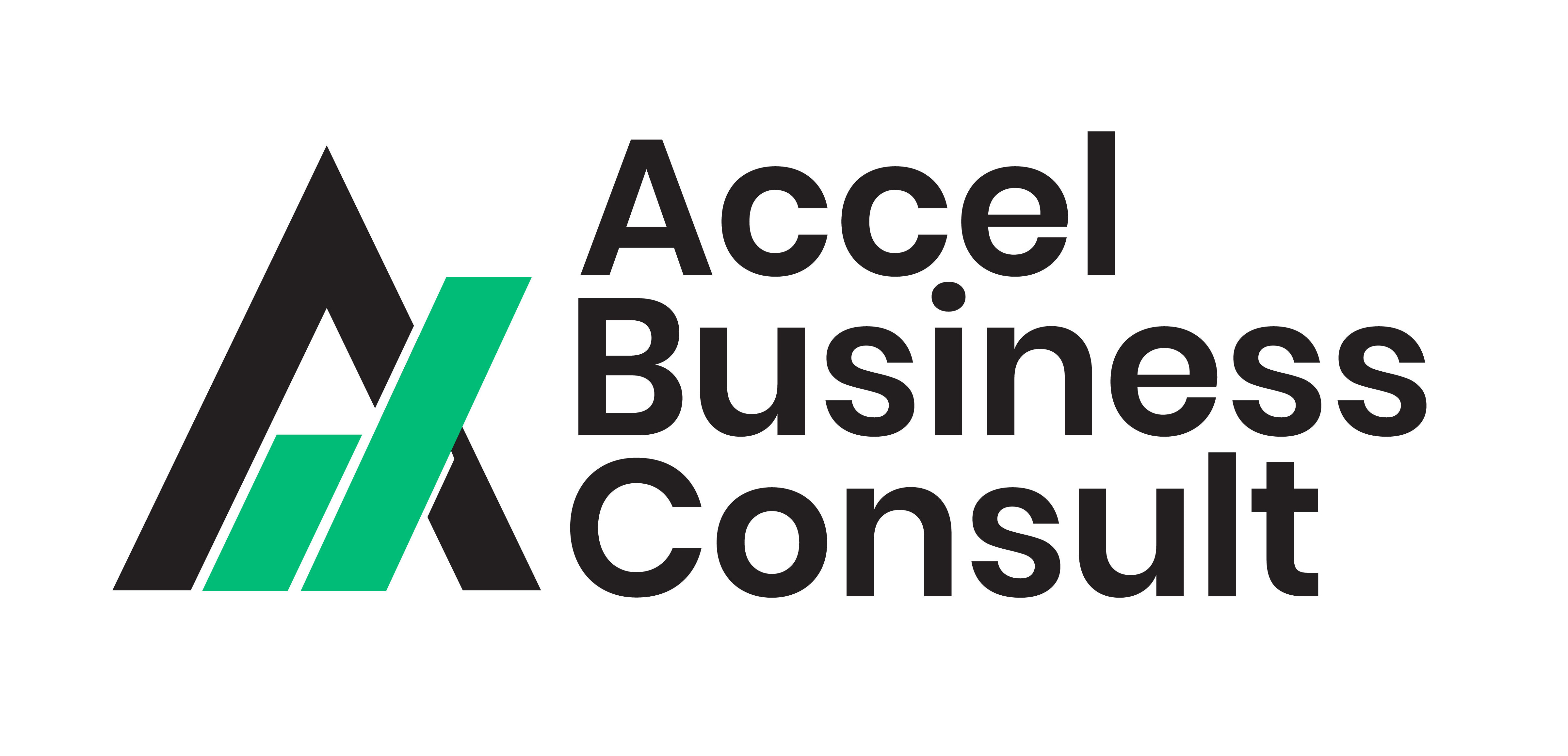Accel Business Consult